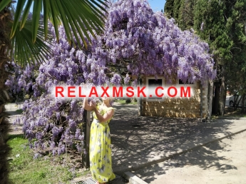 Проститутка Москвы : Светлана - фото 4