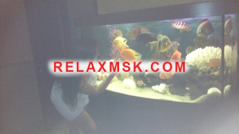 Escort Moscow : 💖Alina 💋 - photo 5